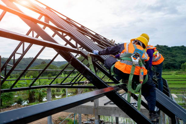 Best Metal Roofing Contractor  in Pierce, CO