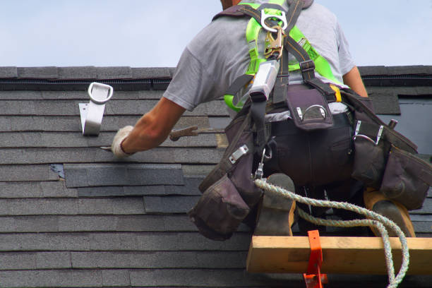 Roof Gutter Cleaning in Pierce, CO